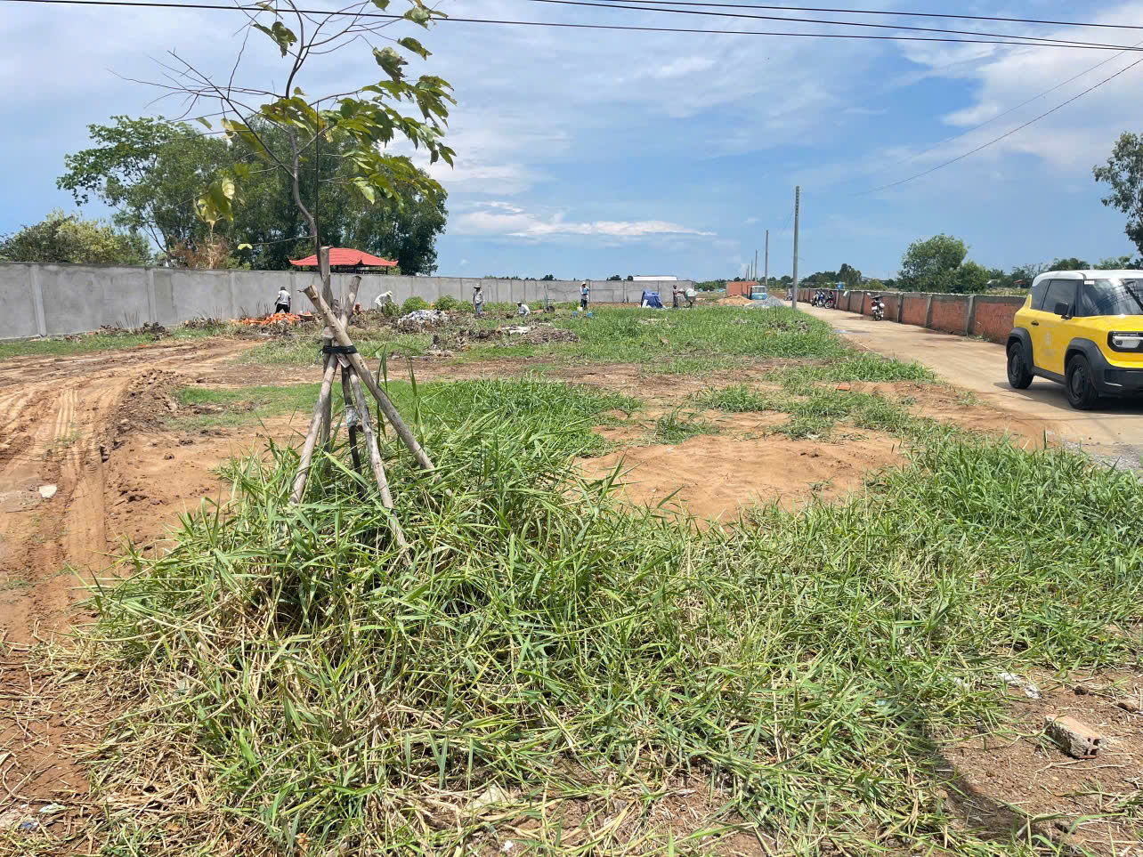 BÁN ĐẤT MT QL 50 – GÒ CÔNG, TIỀN GIANG, GIÁ 500TR, DT 100M2, SHR